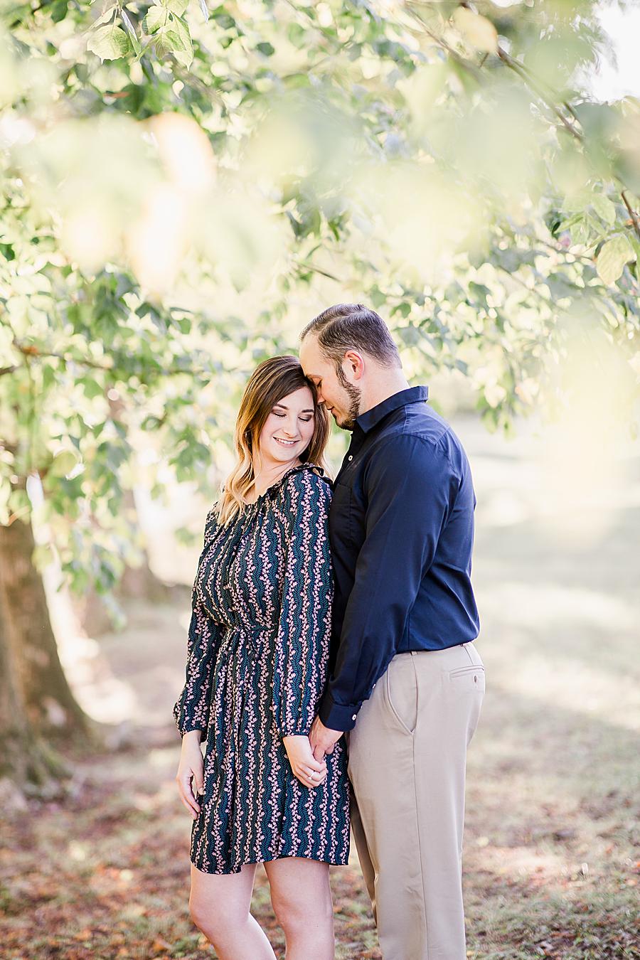 Blue button up at this Apple Barn Engagement by Knoxville Wedding Photographer, Amanda May Photos.