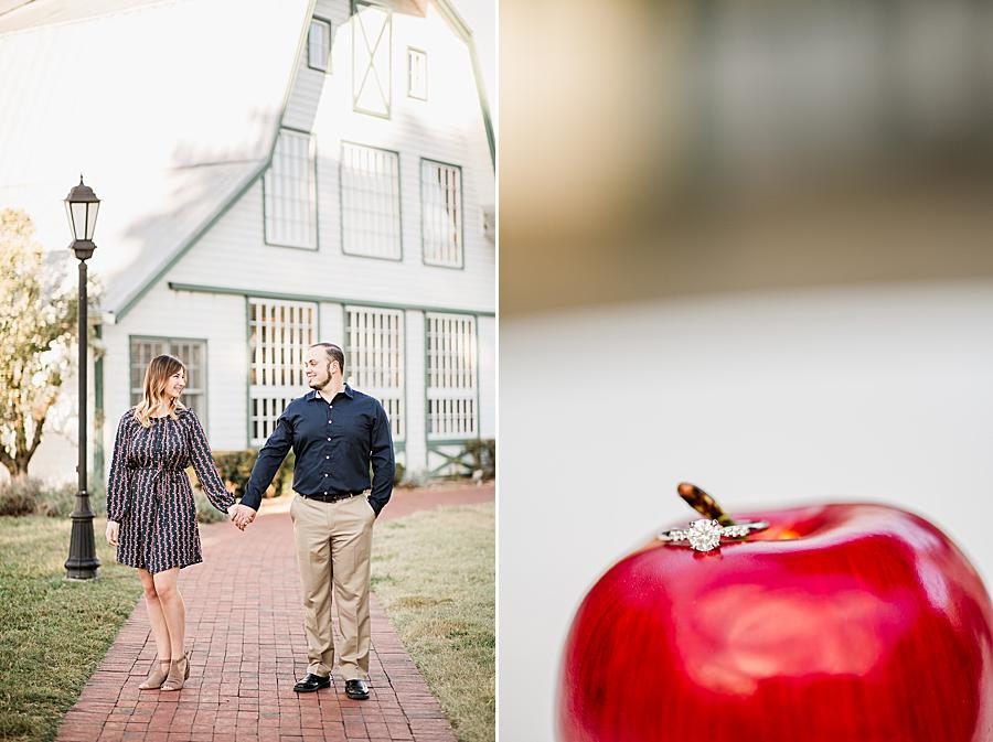Shiny red apple at this Apple Barn Engagement by Knoxville Wedding Photographer, Amanda May Photos.