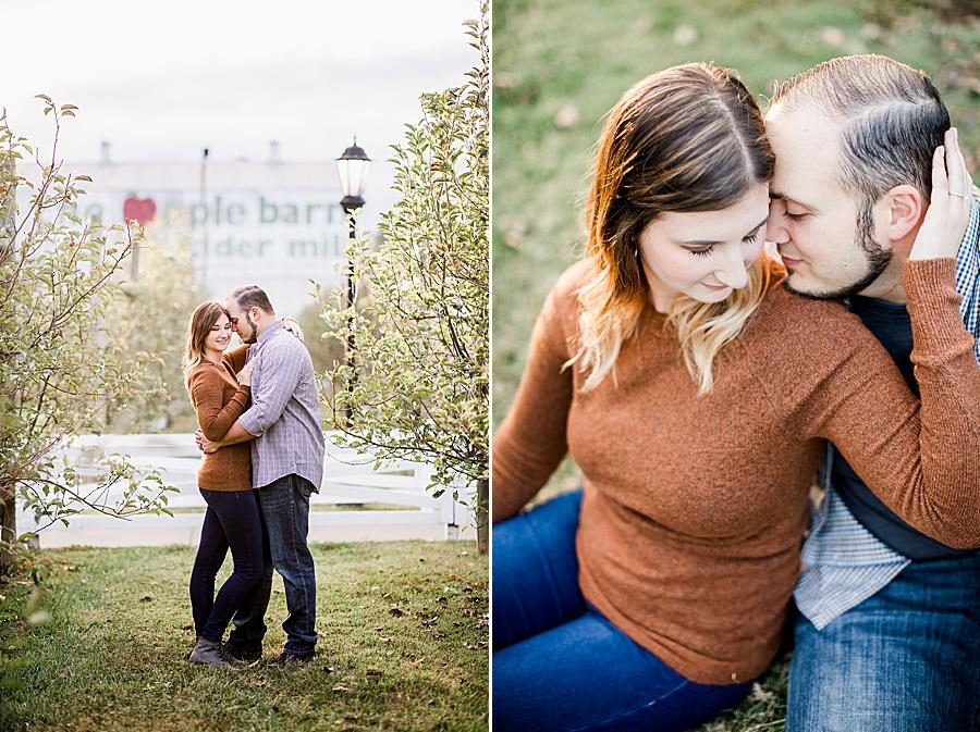 Snuggling at this Apple Barn Engagement by Knoxville Wedding Photographer, Amanda May Photos.