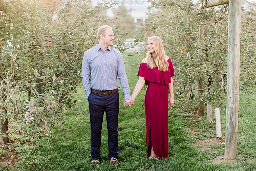 holding hands in an apple orchard