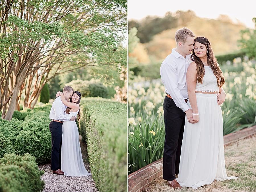 White daffodils at this Baxter Gardens Portraits by Knoxville Wedding Photographer, Amanda May Photos.