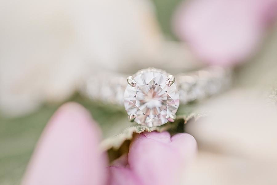 Solitaire diamond at this Baxter Gardens Portraits by Knoxville Wedding Photographer, Amanda May Photos.