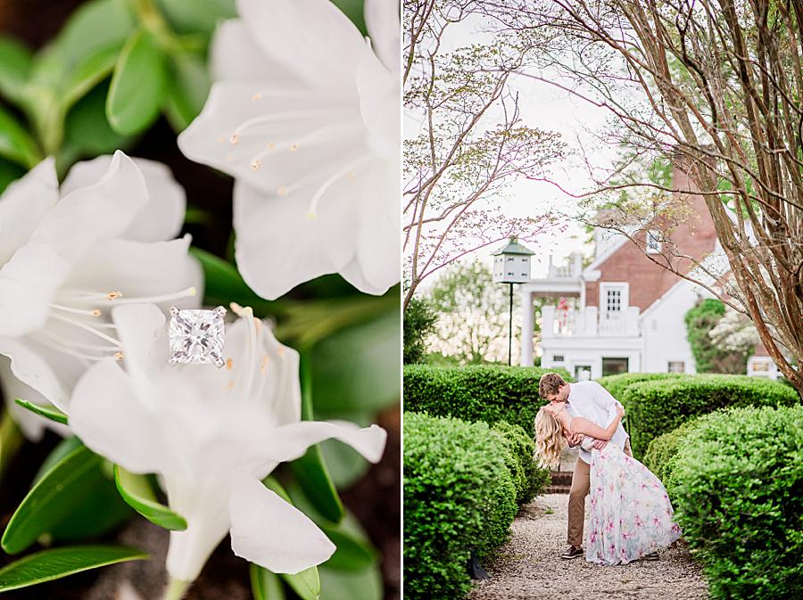 Engagement ring on white azalea at Baxter Gardens