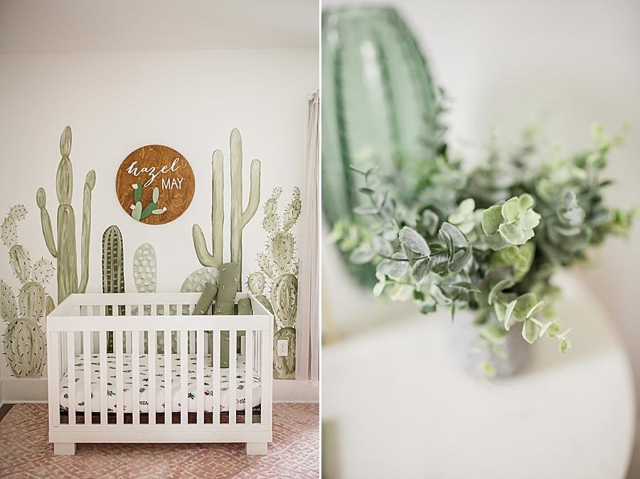 Nursery mural at this cactus nursery by Knoxville Wedding Photographer, Amanda May Photos.