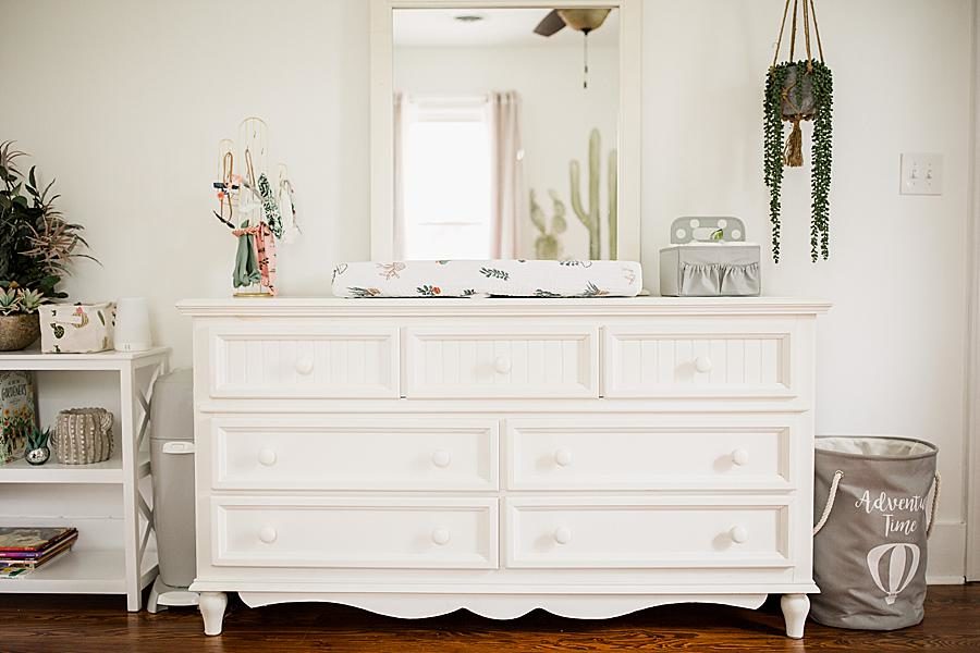 Redone dresser at this cactus nursery by Knoxville Wedding Photographer, Amanda May Photos.