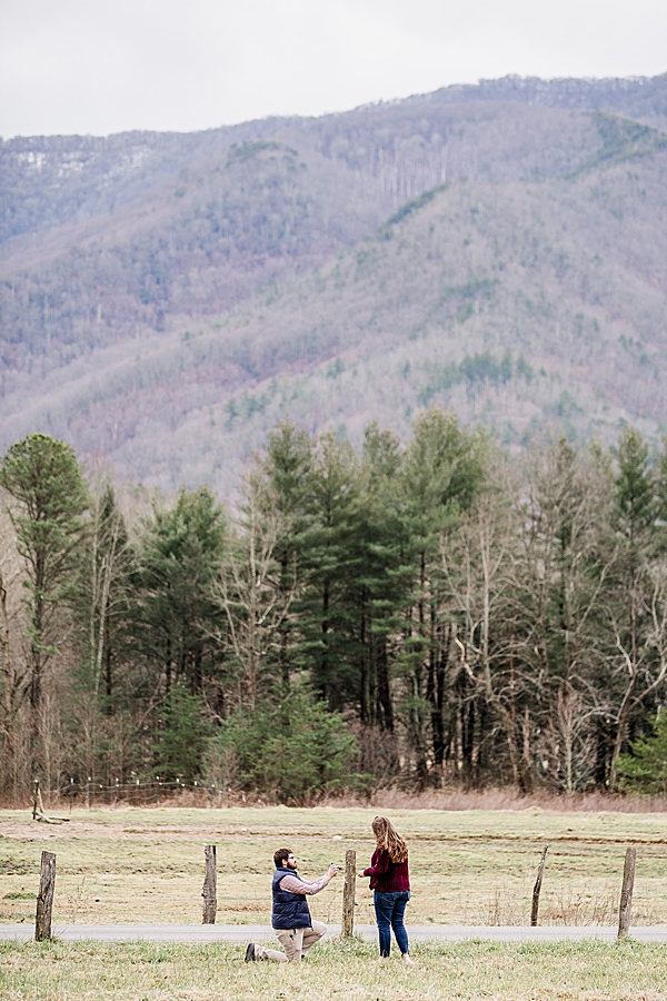 down on one knee at cades cove proposal