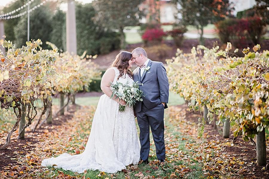 Foreheads together at this Wedding at Castleton Farms by Knoxville Wedding Photographer, Amanda May Photos.