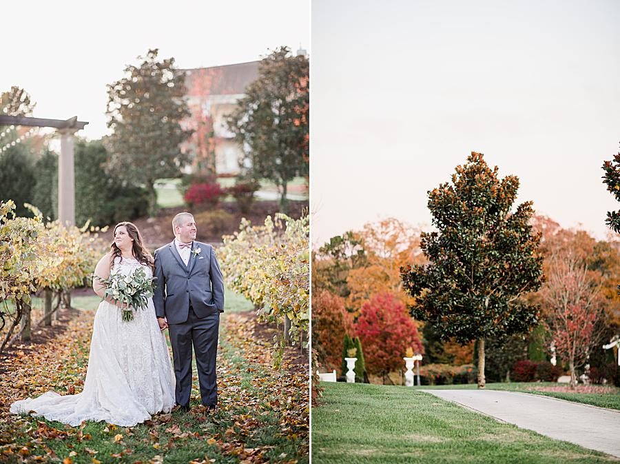 Fall colors at this Wedding at Castleton Farms by Knoxville Wedding Photographer, Amanda May Photos.