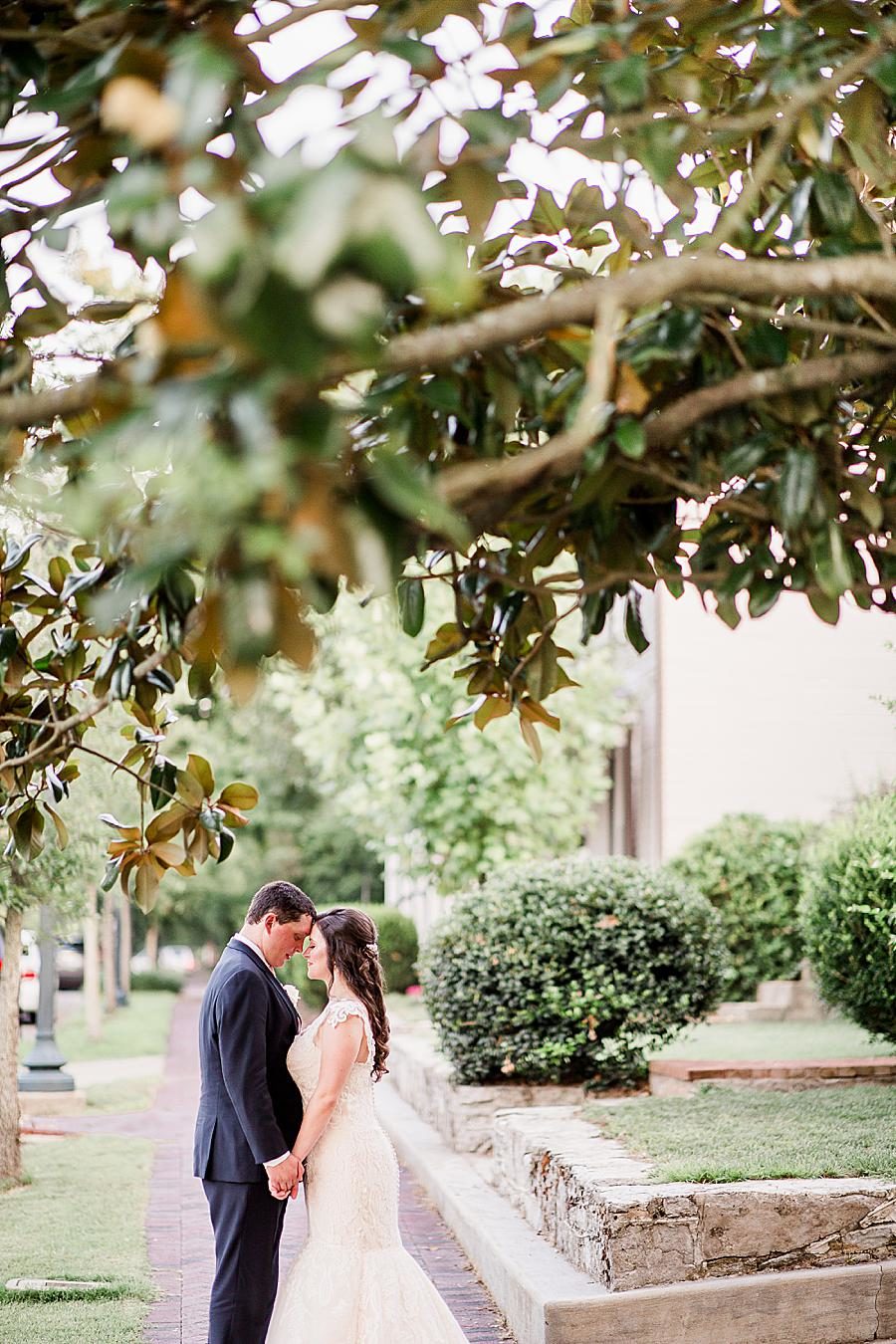 bride and groom under magnolia