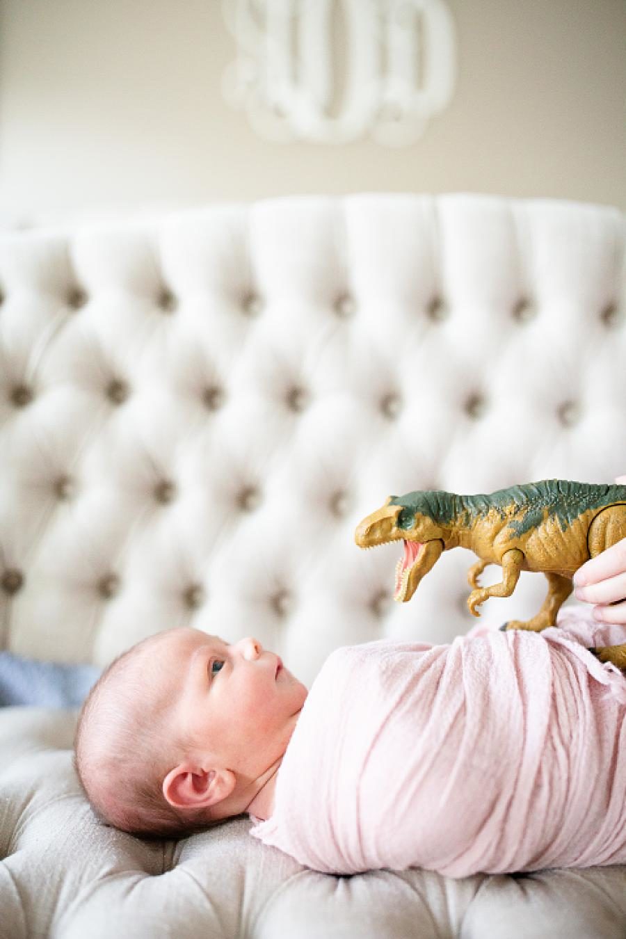 t-rex on newborn at dinosaur newborn session