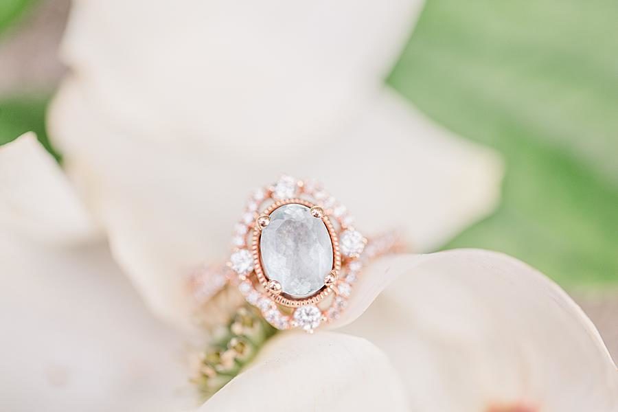 Rose gold engagement ring at this downtown engagement by Knoxville Wedding Photographer, Amanda May Photos.