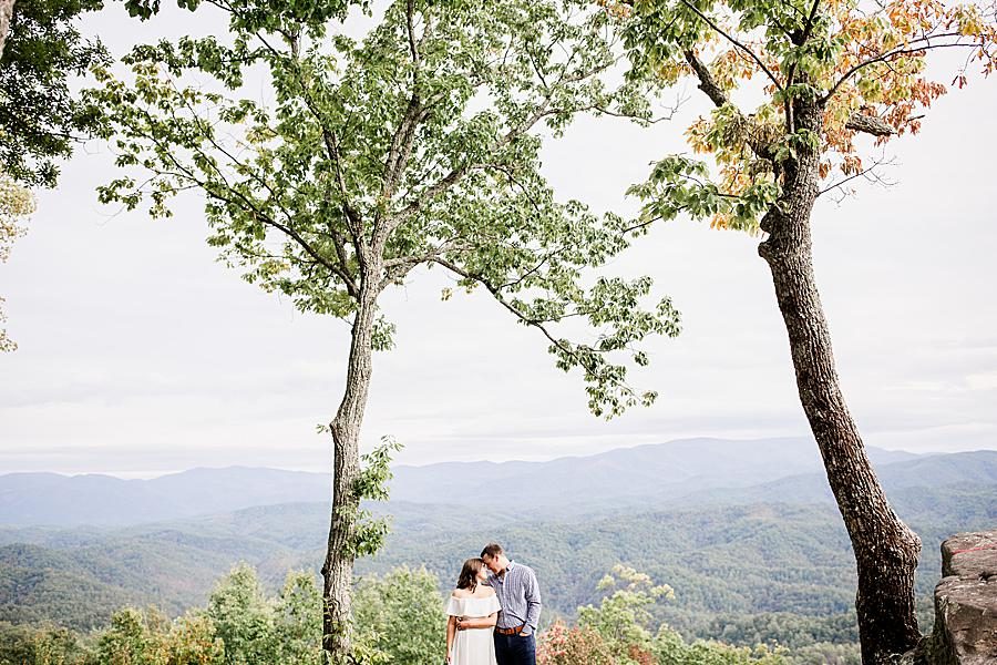Under the trees at this Eagle Rock engagement by Knoxville Wedding Photographer, Amanda May Photos.