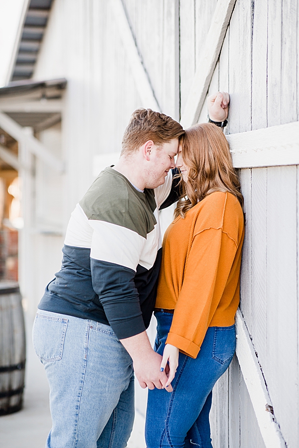 leaning against barn at heartland meadows engagement