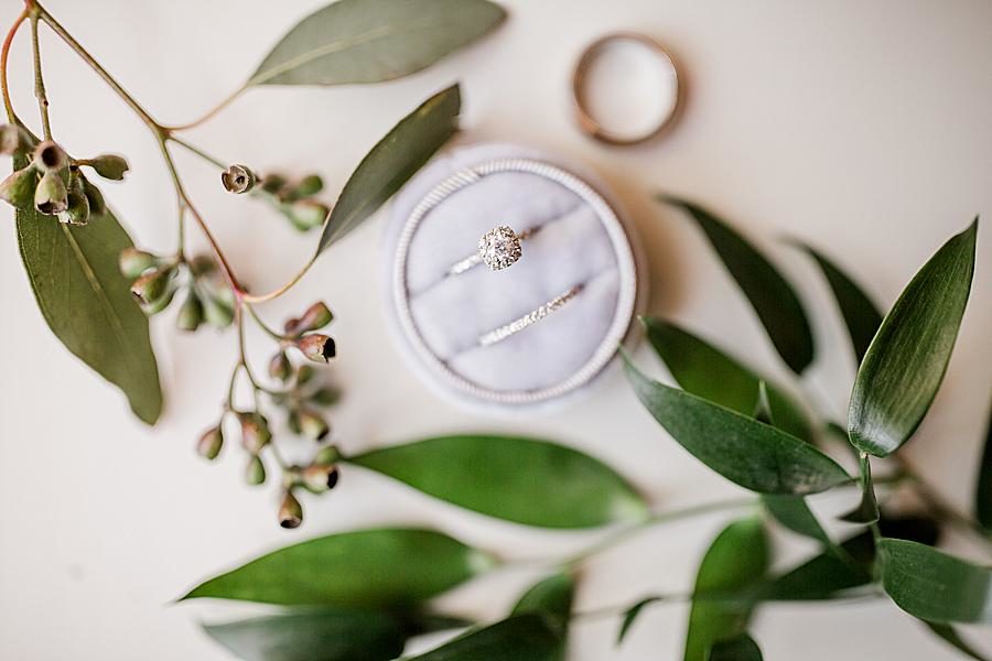 Flat lay at this Holston Hills Country Club wedding by Knoxville Wedding Photographer, Amanda May Photos.