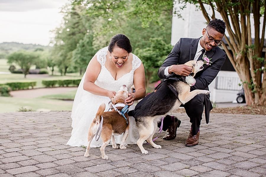 Family pets at this Holston Hills Country Club wedding by Knoxville Wedding Photographer, Amanda May Photos.
