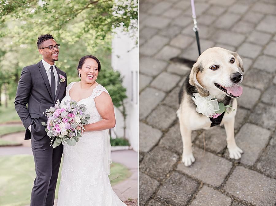 Beagle at this Holston Hills Country Club wedding by Knoxville Wedding Photographer, Amanda May Photos.