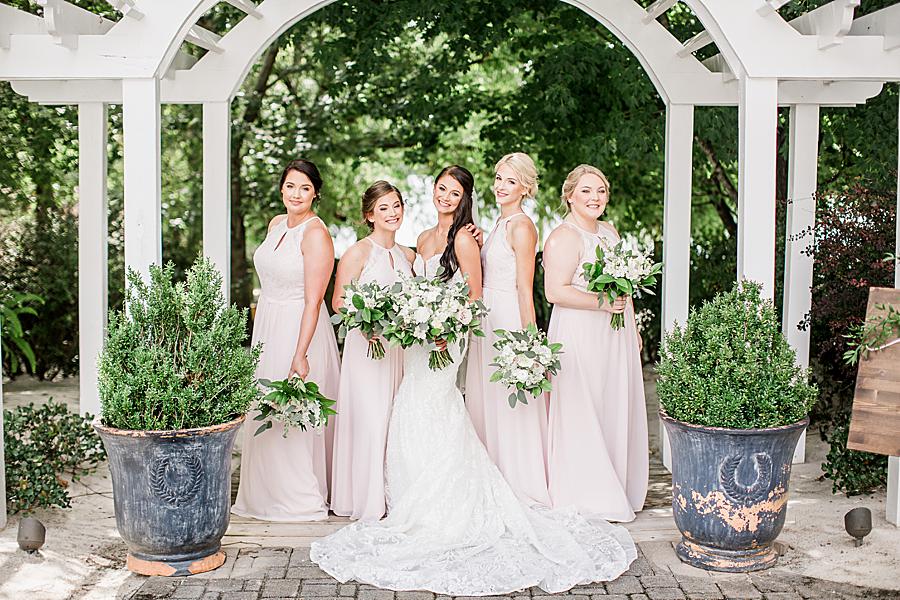 bridesmaids in pink dresses at hunter valley farm wedding