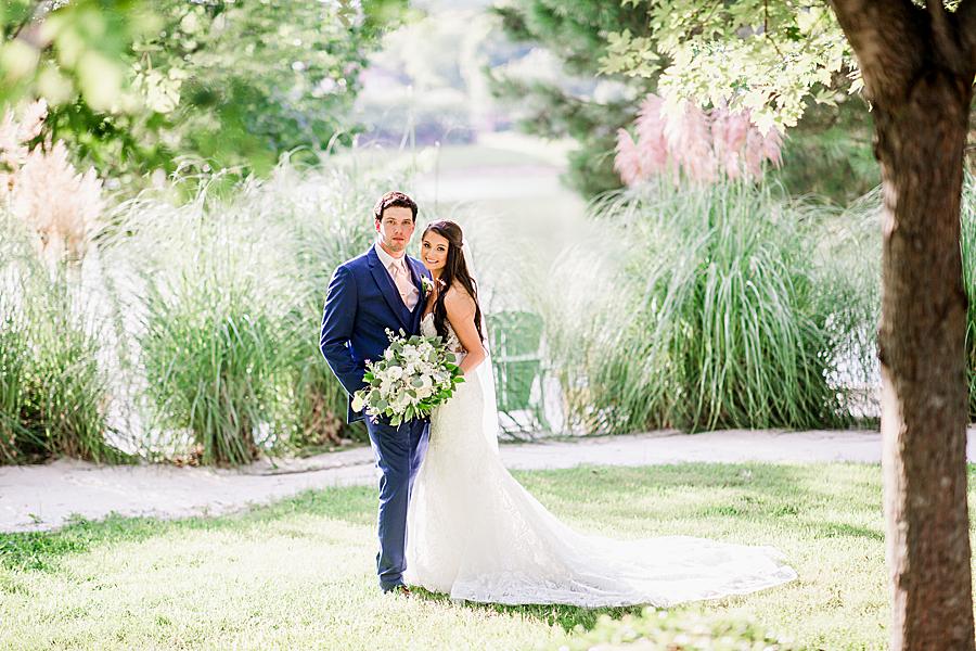 bride and groom in front of pampas grass