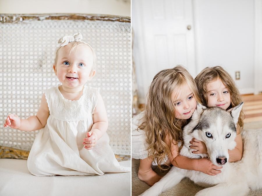 Hugging a husky at this 12 month lifestyle session by Knoxville Wedding Photographer, Amanda May Photos.