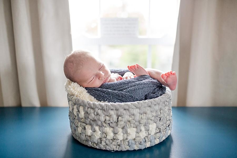 Baby in a basket at this newborn session by Knoxville Wedding Photographer, Amanda May Photos.