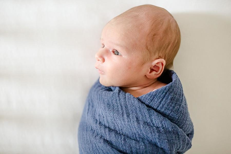 Wide eyes at this newborn session by Knoxville Wedding Photographer, Amanda May Photos.
