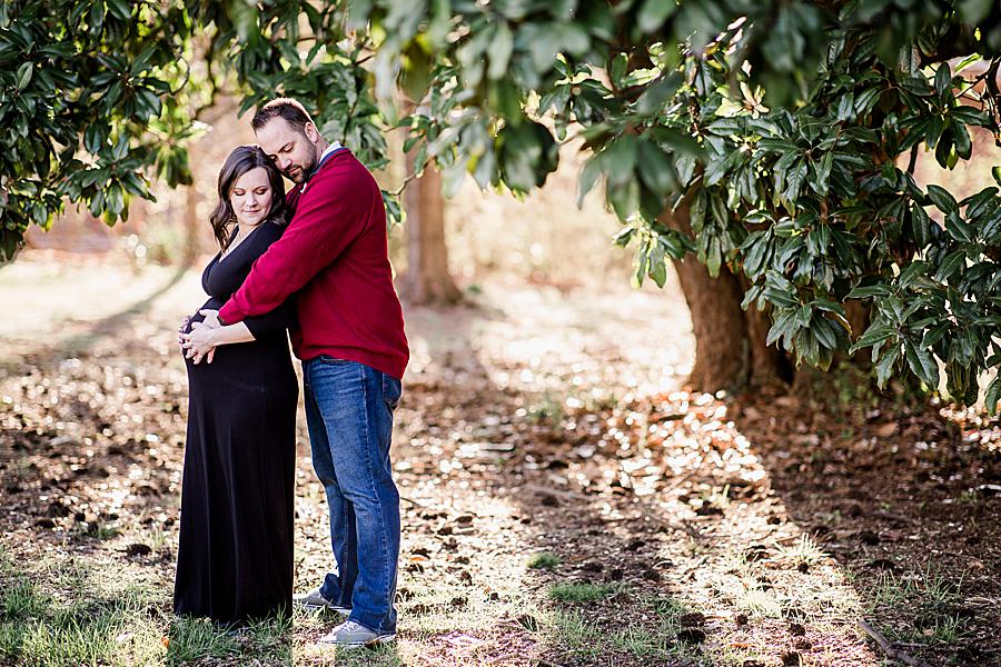 Husband and wife under magnolia for Maple Grove Estate maternity pictures