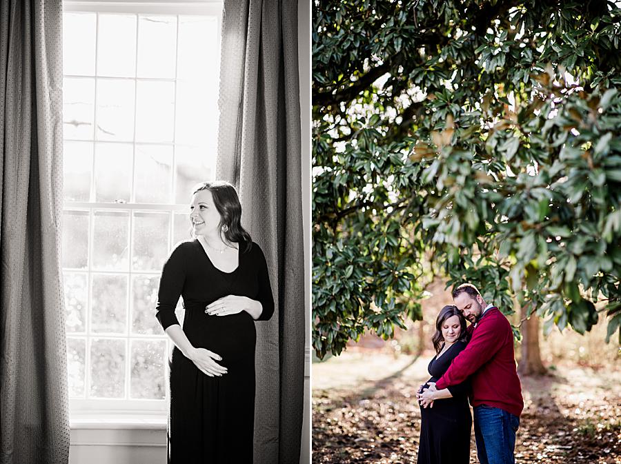 Couple under Magnolia tree at Maple Grove Estate maternity pictures