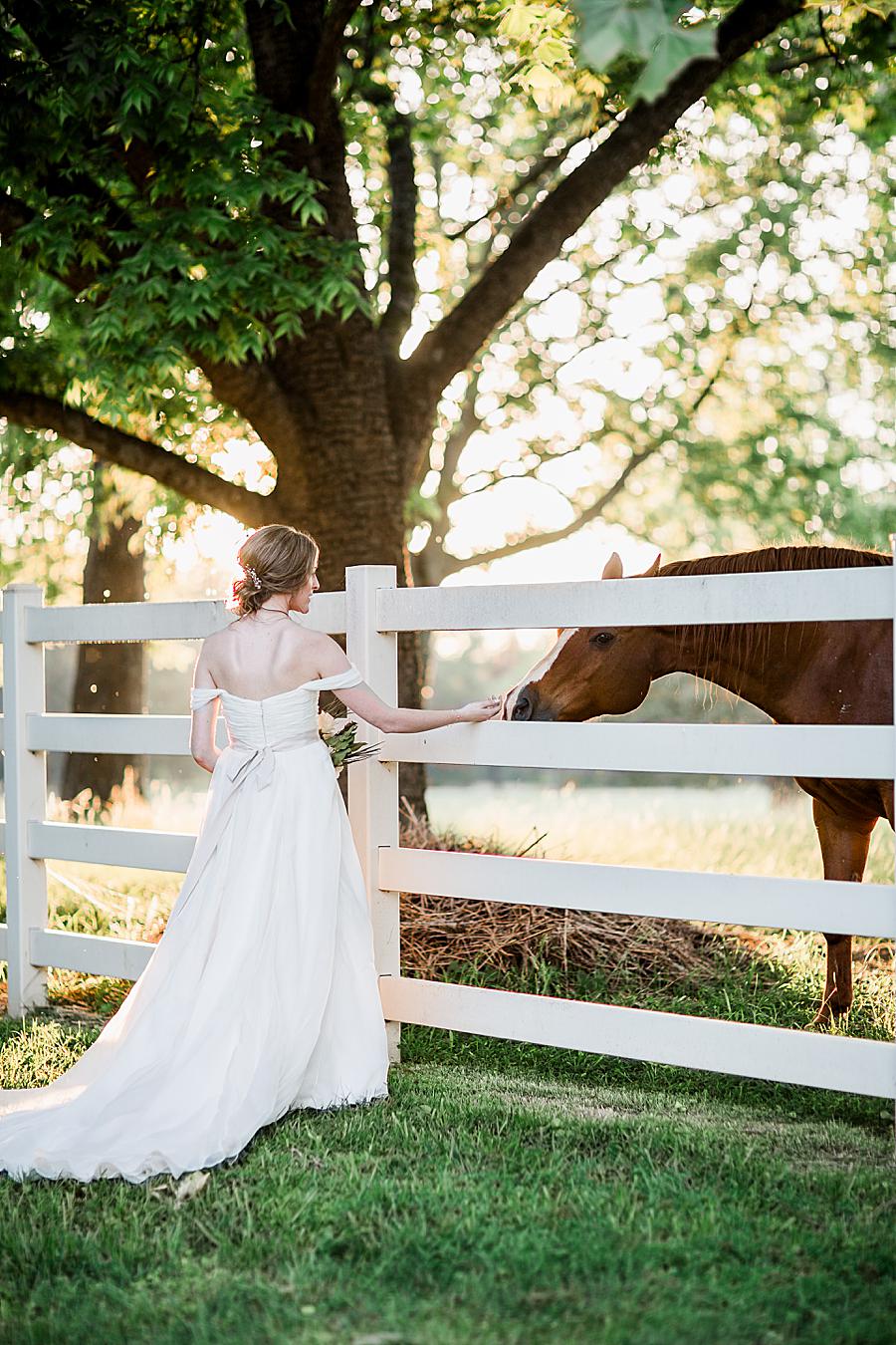 Horse farm venue at this Marblegate Farm Bridal Session by Knoxville Wedding Photographer, Amanda May Photos.