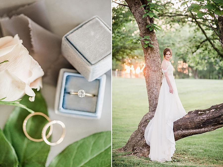 Simple engagement ring at this Marblegate Farm Bridal Session by Knoxville Wedding Photographer, Amanda May Photos.