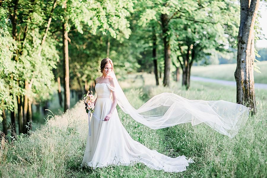Flowy veil at this Marblegate Farm Bridal Session by Knoxville Wedding Photographer, Amanda May Photos.