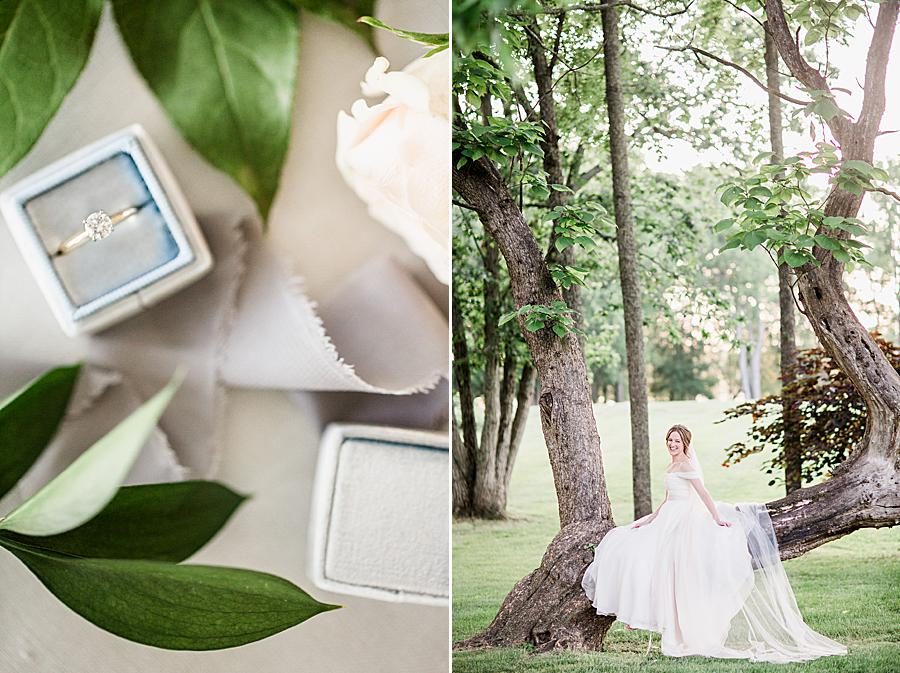 Flat lay at this Marblegate Farm Bridal Session by Knoxville Wedding Photographer, Amanda May Photos.