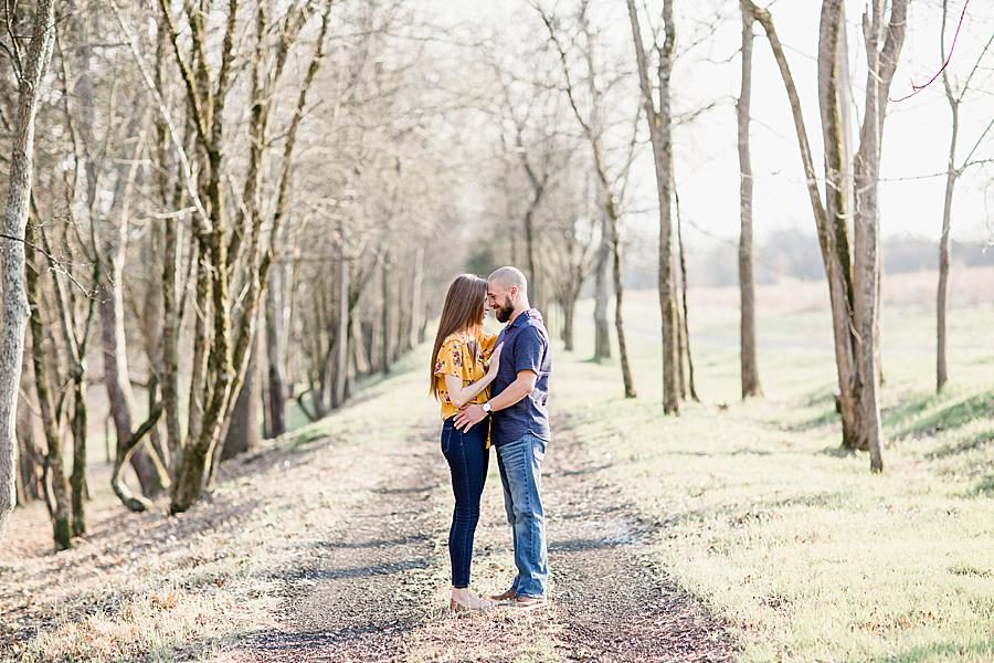 Tree lined lane at this Marblegate Farm engagement by Knoxville Wedding Photographer, Amanda May Photos.
