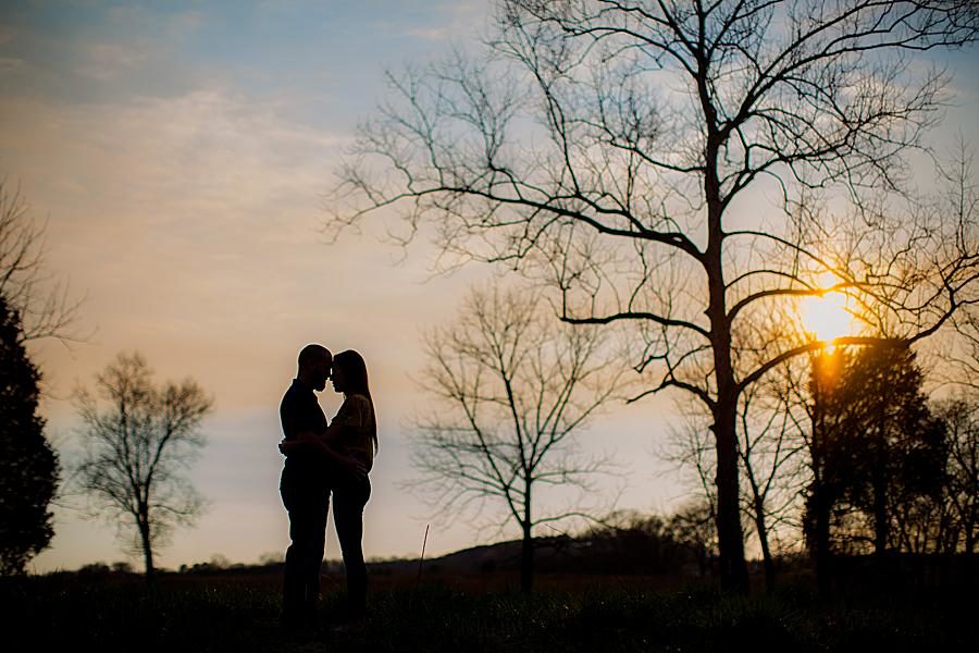 Sunset shadows at this Marblegate Farm engagement by Knoxville Wedding Photographer, Amanda May Photos.