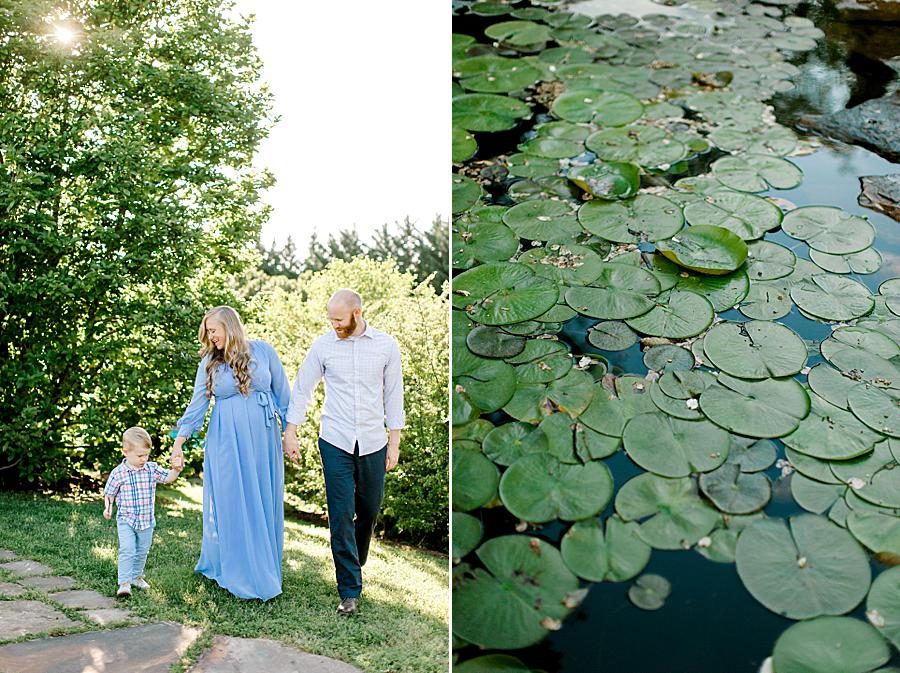 Lilypads at this Maternity Pictures by Knoxville Wedding Photographer, Amanda May Photos.
