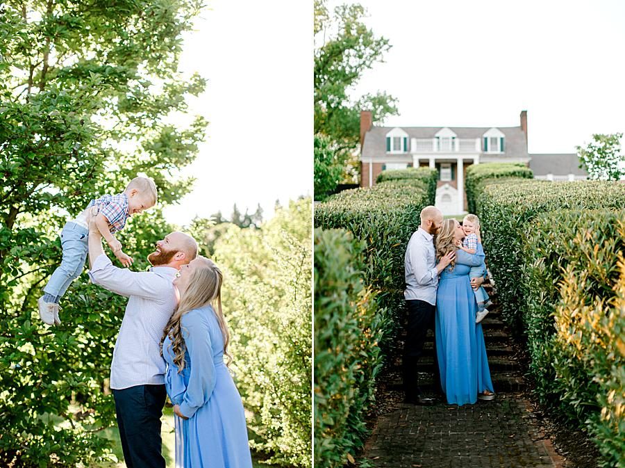 Hedges at this Maternity Pictures by Knoxville Wedding Photographer, Amanda May Photos.