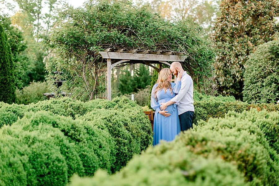 Trellis at this Maternity Pictures by Knoxville Wedding Photographer, Amanda May Photos.