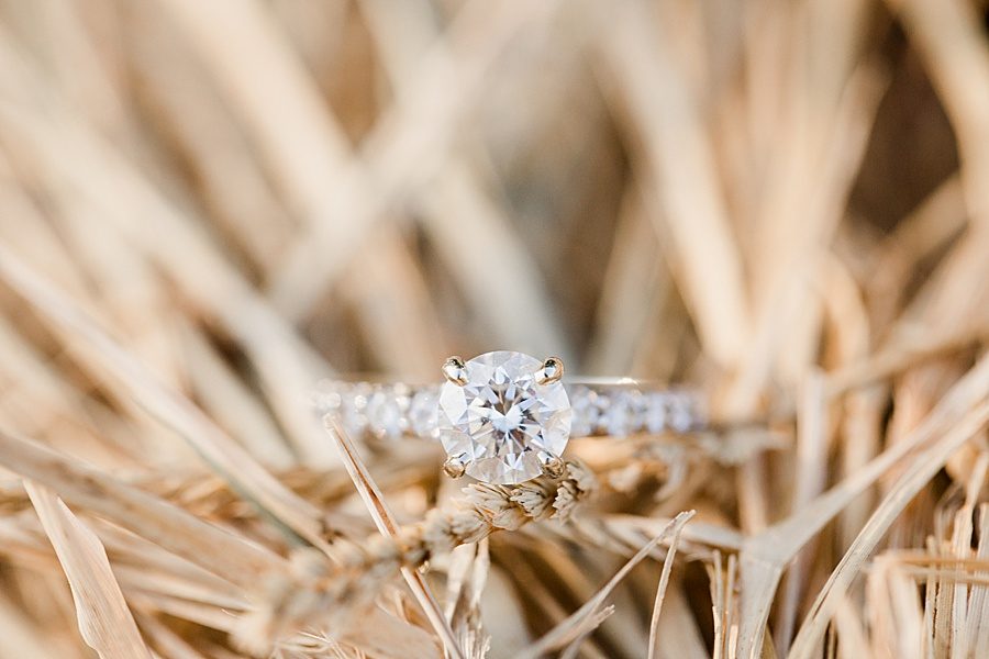 Round diamond at this Melton Hill engagement session by Knoxville Wedding Photographer, Amanda May Photos.