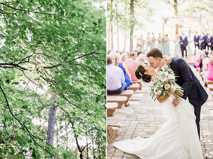 Just married at this pavilion wedding by Knoxville Wedding Photographer, Amanda May Photos.