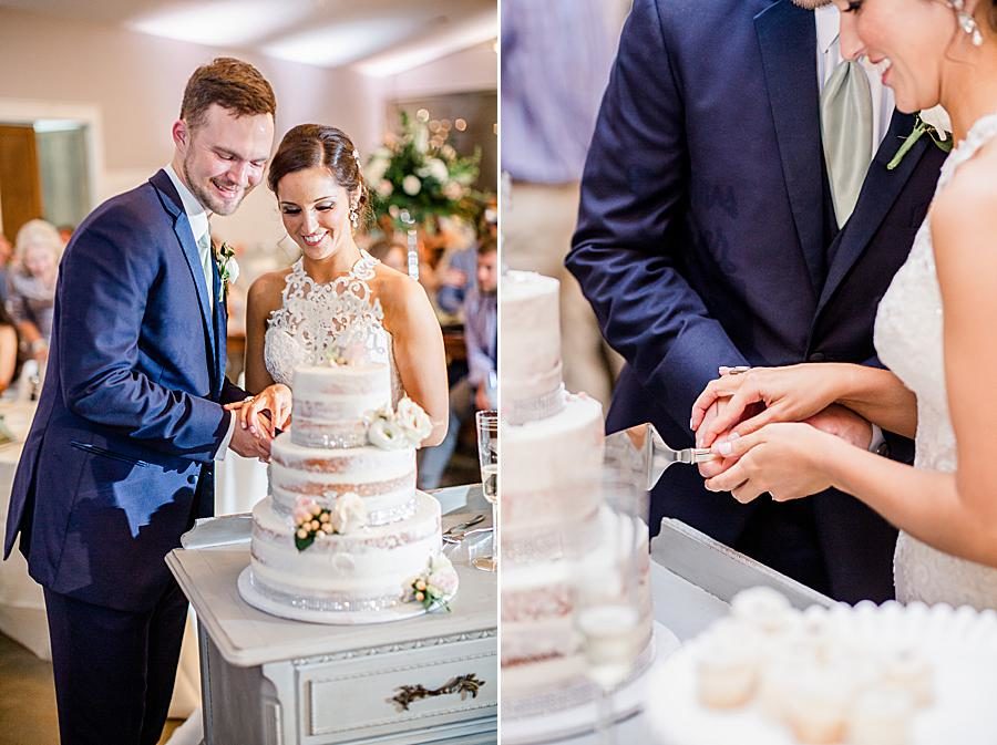 Cutting the cake at this pavilion wedding by Knoxville Wedding Photographer, Amanda May Photos.