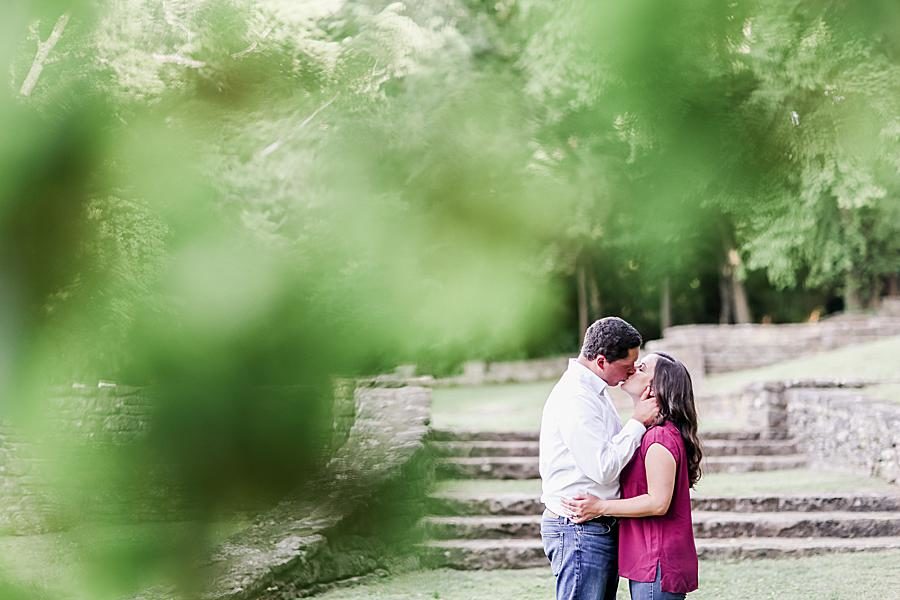 Through the leaves by Knoxville Wedding Photographer, Amanda May Photos.
