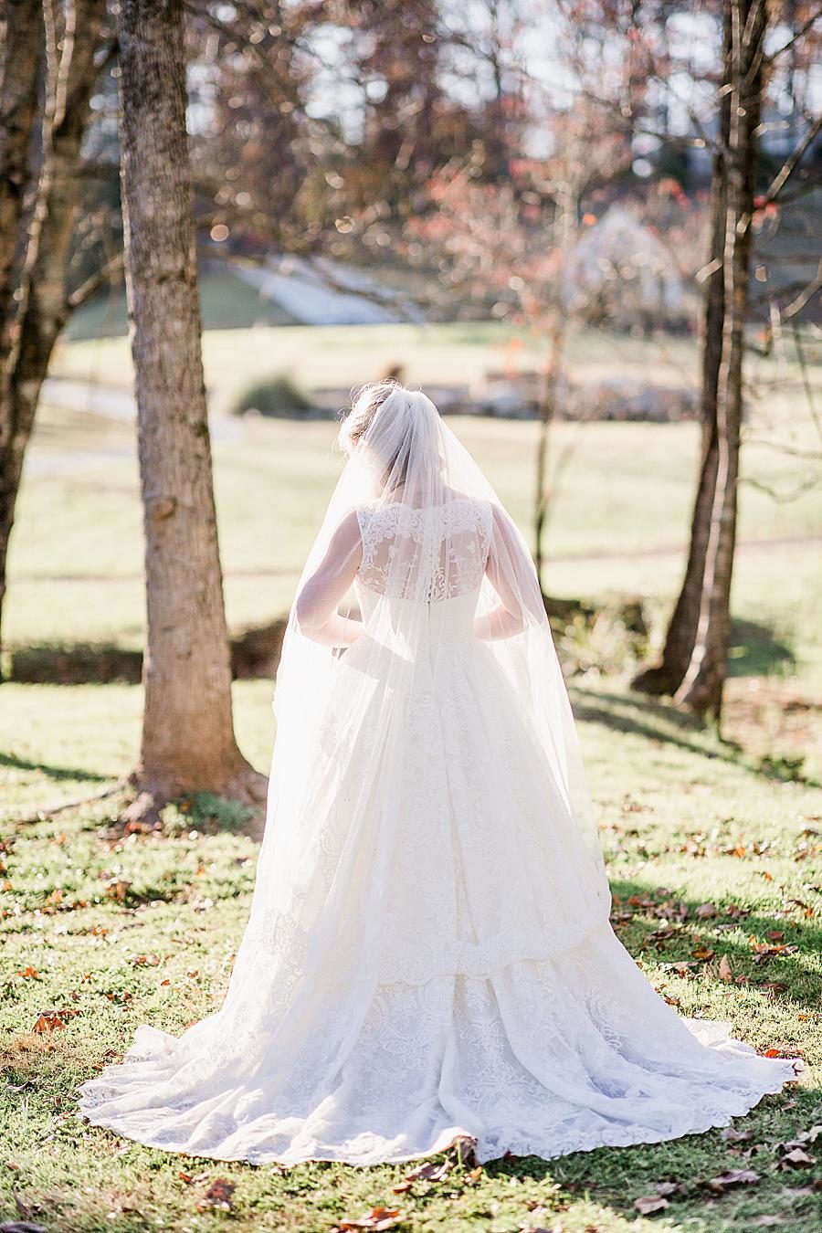 Back of the dress at this Ramble Creek Bridal Session by Knoxville Wedding Photographer, Amanda May Photos.