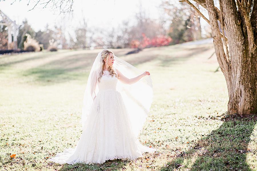 Holding the veil at this Ramble Creek Bridal Session by Knoxville Wedding Photographer, Amanda May Photos.