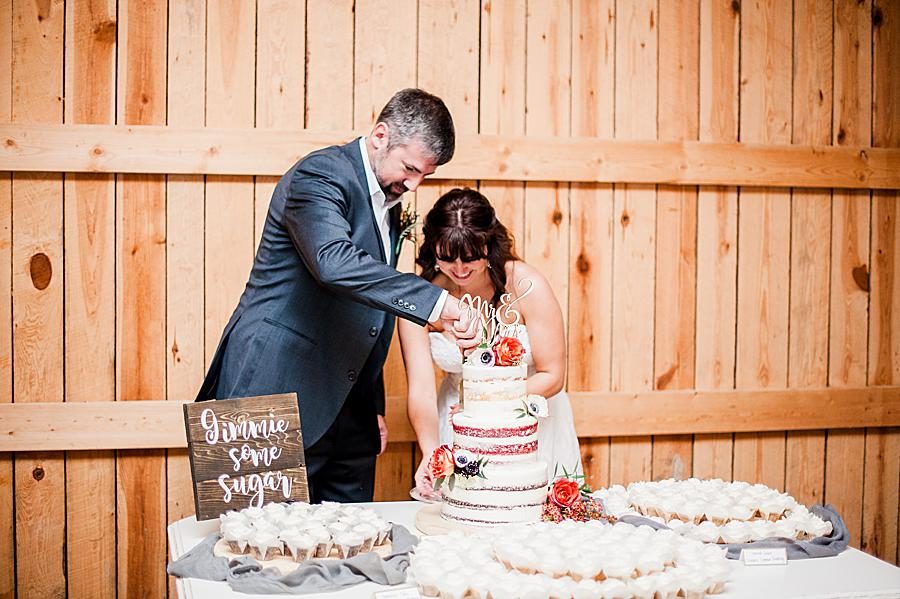Cutting cake by Knoxville Wedding Photographer, Amanda May Photos.