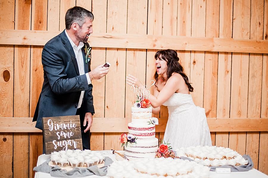 Cake smash by Knoxville Wedding Photographer, Amanda May Photos.