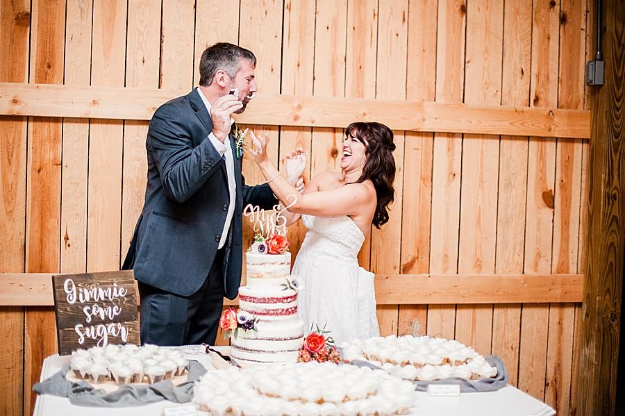 Wedding cake by Knoxville Wedding Photographer, Amanda May Photos.