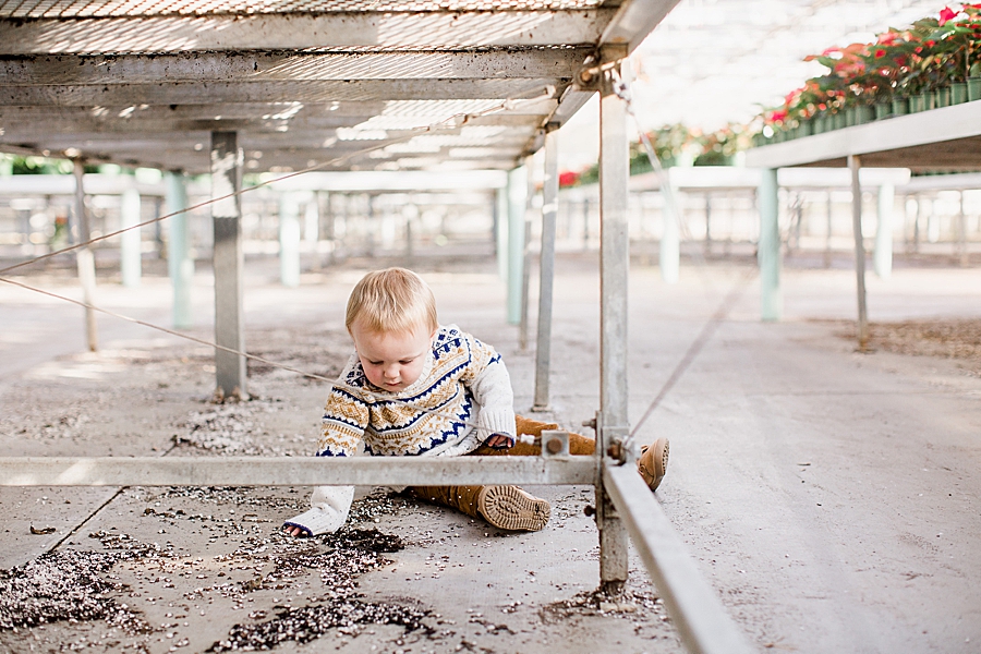 playing in dirt at stanley's greenhouse