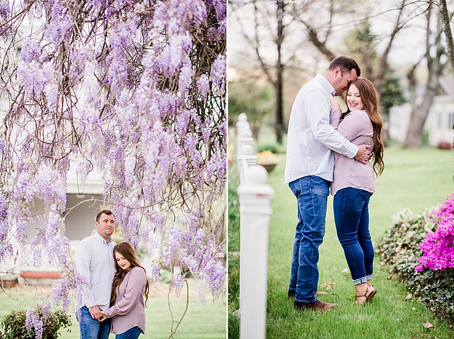 couple under large blooming wisteria at studio at fountain city