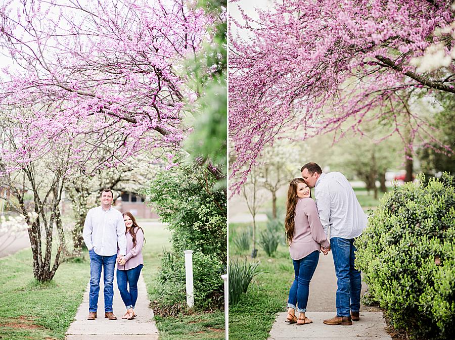kiss on the cheek under blooming redbud