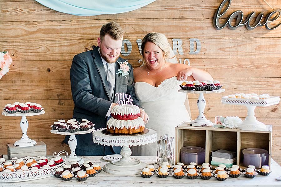 Cutting the cake at this Strawberry Creek Wedding by Knoxville Wedding Photographer, Amanda May Photos.
