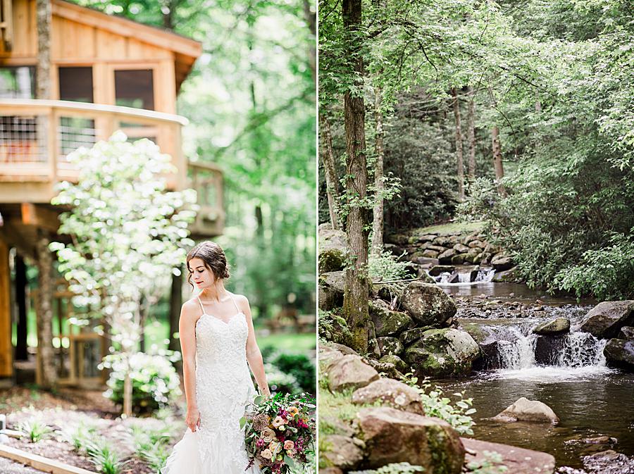 mountain stream at treehouse grove styled shoot